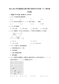 2021-2022学年湖南师大附中博才实验中学七年级（下）期中数学试卷