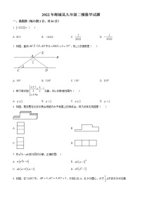 2022年山东省临沂市郯城县九年级数学二模试题(word版含答案)