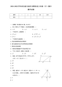 2021-2022学年河北省石家庄市赞皇县八年级（下）期中数学试卷（含解析）