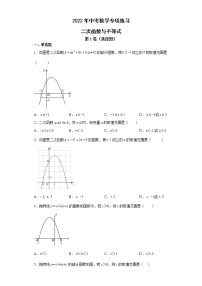 2022年中考数学专项练习：二次函数与不等式