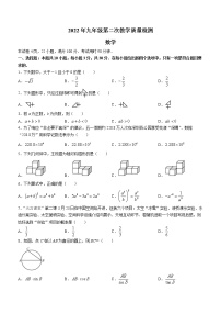 2022年广东省深圳市盐田区九年级二模数学试题 (word版无答案)