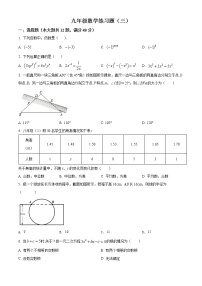 2022年山东省泰安市岱岳区中考三模数学试题(word版含答案)