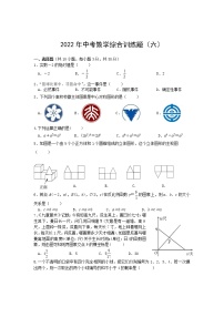 湖北省武汉市蔡甸区2022年中考数学综合训练（六）(word版含答案)