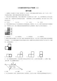 2022年山东省菏泽市牡丹区九年级中考三模数学试题 (含答案)