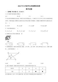 2022年安徽省合肥市高新区中考二模 数学 试题（学生版+解析版）