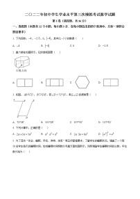 2022年山东省聊城市莘县中考三模数学试题(word版含答案)