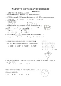 2022年6月湖北省黄石市有色中学九年级中考终极模拟数学试卷(word版无答案)