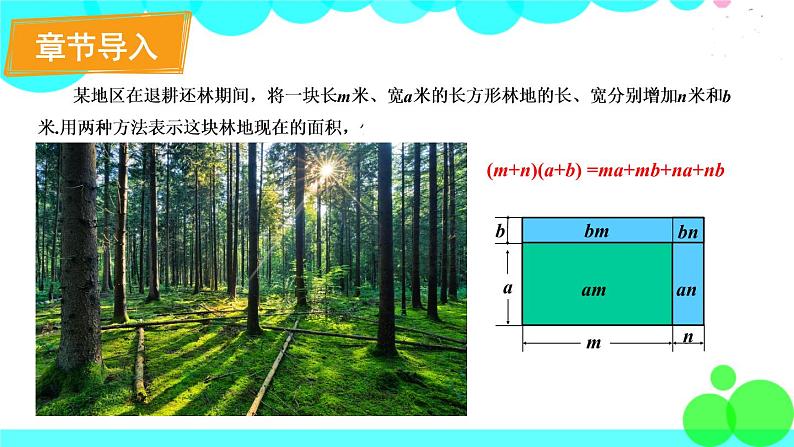华师8数上册 第12章 整式的乘除 12.1 幂的运算 PPT上课课件02