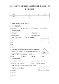 2021-2022学年安徽省宿州市蛹桥区教育集团七年级（下）期中数学试卷（含解析）