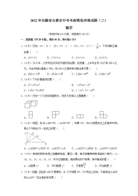 2022年安徽省合肥市中考考前模拟冲刺试题（三）