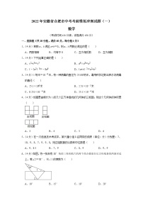 2022年安徽省合肥市中考考前模拟冲刺试题（一）