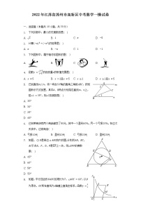 2022年江苏省苏州市高新区中考数学一模试卷（含解析）