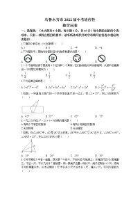 2022年新疆乌鲁木齐市中考二模数学试题（含答案）