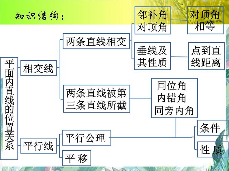 人教版七年级数学下册 第五 章平行线与相交线期末复习课件02