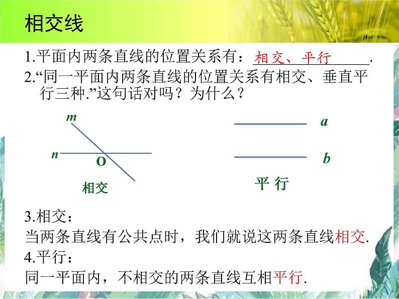 人教版七年级数学下册 第五 章平行线与相交线期末复习课件第3页