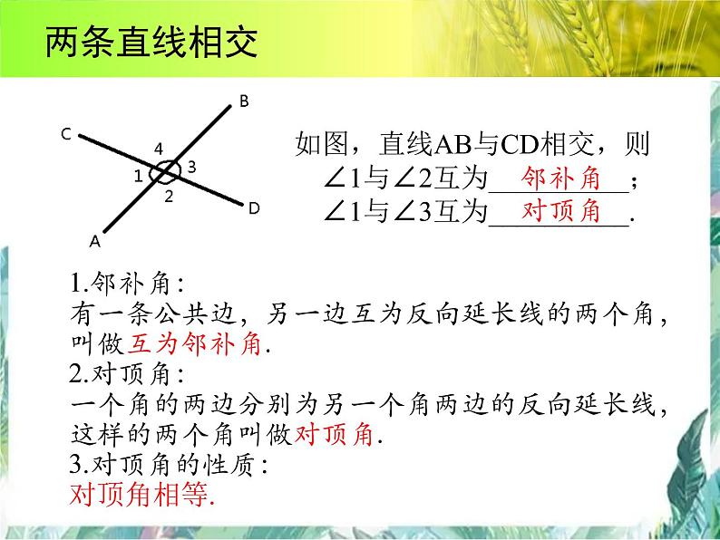 人教版七年级数学下册 第五 章平行线与相交线期末复习课件04