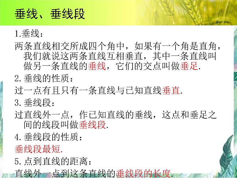 人教版七年级数学下册 第五 章平行线与相交线期末复习课件第6页