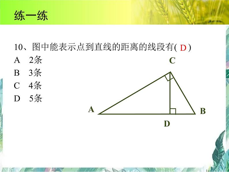 人教版七年级数学下册 第五 章平行线与相交线期末复习课件第8页