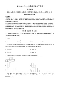 2022年四川省泸州市中考数学真题(word版含答案)