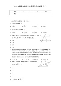 2022年湖南省娄底市中考数学作业试卷（二）（含解析)