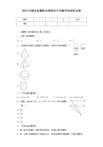 2022年湖北省襄阳市枣阳市中考数学适应性试卷（含解析）