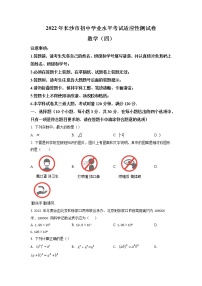 2022年湖南省长沙市初中学业水平考试适应性测试卷（四）数学试题（含答案）