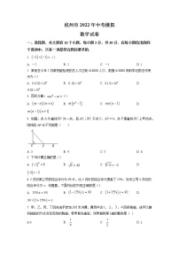 2022年浙江省杭州市中考模拟数学试题（含答案）