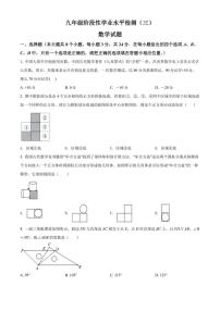 2022年山东省菏泽市牡丹区九年级中考三模数学试题(含答案)