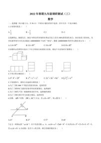 2022年河南省南阳市镇平县九年级调研测试（三）数学试题(含答案)