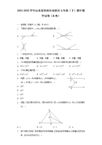 2021-2022学年山东省济南市高新区七年级（下）期中数学试卷（B卷）（含解析）