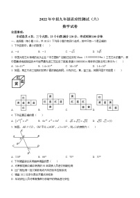 2022年河南省信阳市息县中招九年级适应性测试（六）数学试题(word版含答案)