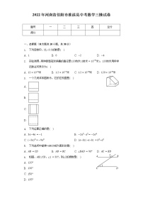 2022年河南省信阳市淮滨县中考数学三模试卷（含解析）