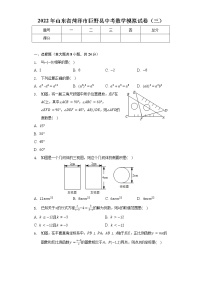 2022年山东省菏泽市巨野县中考数学模拟试卷（三）（含解析）