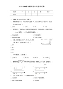 2022年山东省滨州市中考数学试卷(含解析)