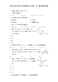 2021-2022学年辽宁省铁岭市八年级（下）期中数学试卷（含解析）