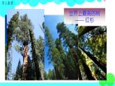 滬科版數(shù)學(xué)九年級上冊  22.5  綜合與實踐 測量與誤差 PPT課件