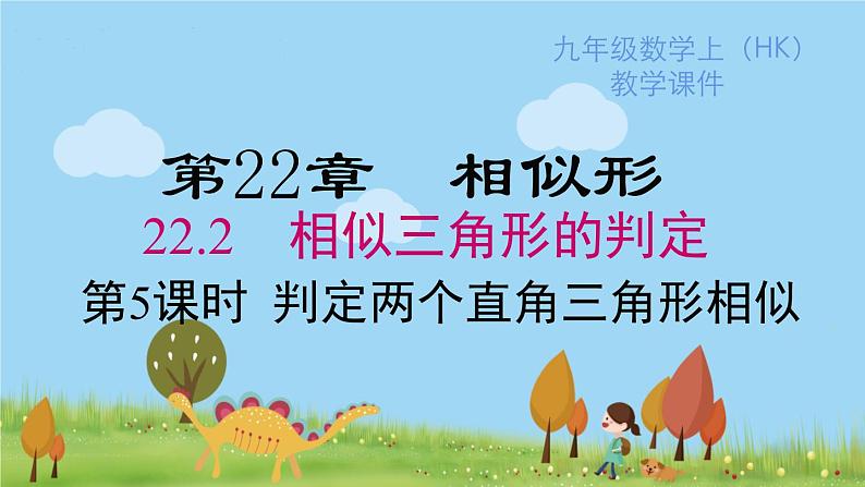 沪科版数学九年级上册  22.2 第5课时  判定两个直角三角形相似 PPT课件01