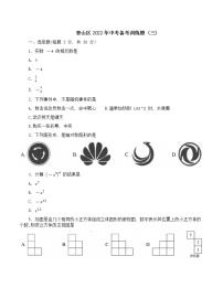 湖北省武汉市青山区2022年中考备考训练题（三）数学试题(word版含答案)