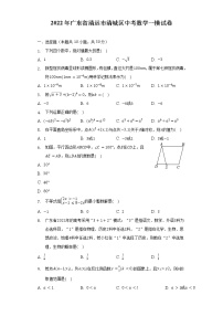 2022年广东省清远市清城区中考数学一模试卷（含解析）