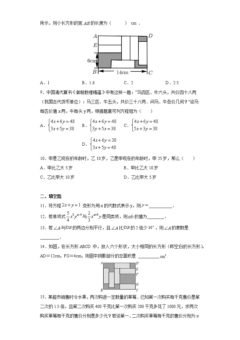 专题04 二元一次方程组（试卷）第2页