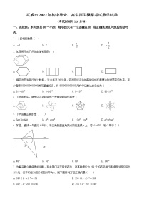 2022年甘肃省武威市中考押题卷数学试题(word版含答案)