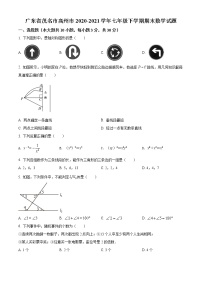 广东省茂名市高州市2020-2021学年七年级下学期期末数学试题及答案