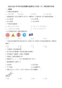 2020-2021学年河北省邯郸市临漳县七年级（下）期末数学试卷及答案