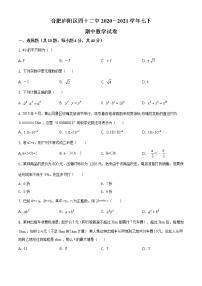 合肥庐阳区四十二中2020－2021学年七下期中数学试卷及答案