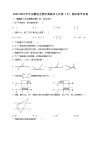 2020-2021学年安徽省合肥市巢湖市七年级（下）期末数学试卷及答案