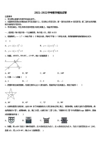 2021-2022学年福建省龙岩市金丰片区中考数学对点突破模拟试卷含解析