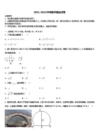 2021-2022学年广东省清远市阳山县重点达标名校中考数学全真模拟试题含解析