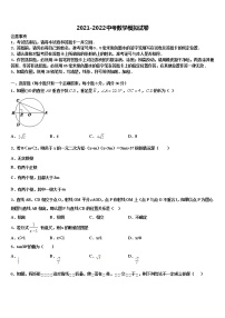 2021-2022学年广东省深圳市大鹏新区达标名校中考三模数学试题含解析