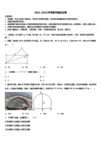 2021-2022学年广东省江门市培英初级中学中考数学对点突破模拟试卷含解析