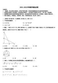 2021-2022学年安徽省阜阳市临泉县中考数学对点突破模拟试卷含解析